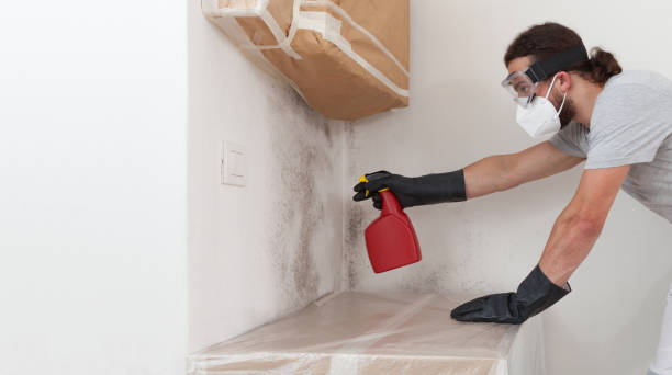 Professional Crawl Space Mold Remediation technician working in Ferndale, MI