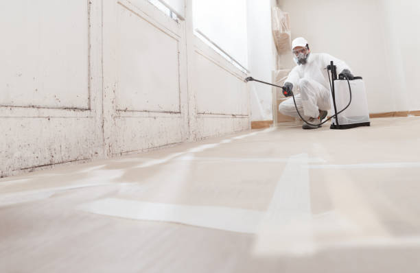 24/7 Emergency Crawl Space Mold Remediation experts in Ferndale, MI