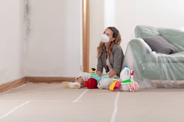 Reliable Crawl Space Mold Remediation contractor in Ferndale, MI by 24 Hour Mold Removal